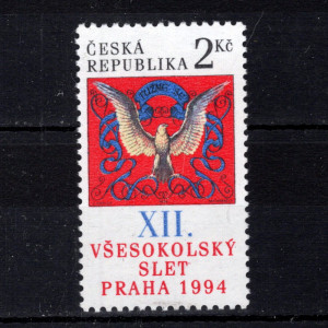 XII. všesokolský slet, Praha, prapor pražské župy