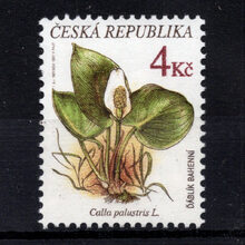 Stamp Czechia, Pof.135 (Mi. 136), (*), 4 Kč