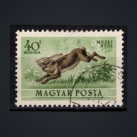 Známka Maďarsko, Mi.1287 (SG 1273)#, 40 fi