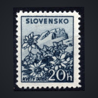 Známka Slovenský štát, Pof.49Y*, 20H