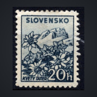 Známka Slovenský štát, Pof.49Y*, 20H