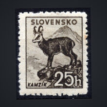 Známka Slovenský štát, Pof.50X*, 25H