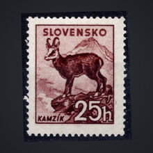 Známka Slovenský štát, Pof.108**, 25H