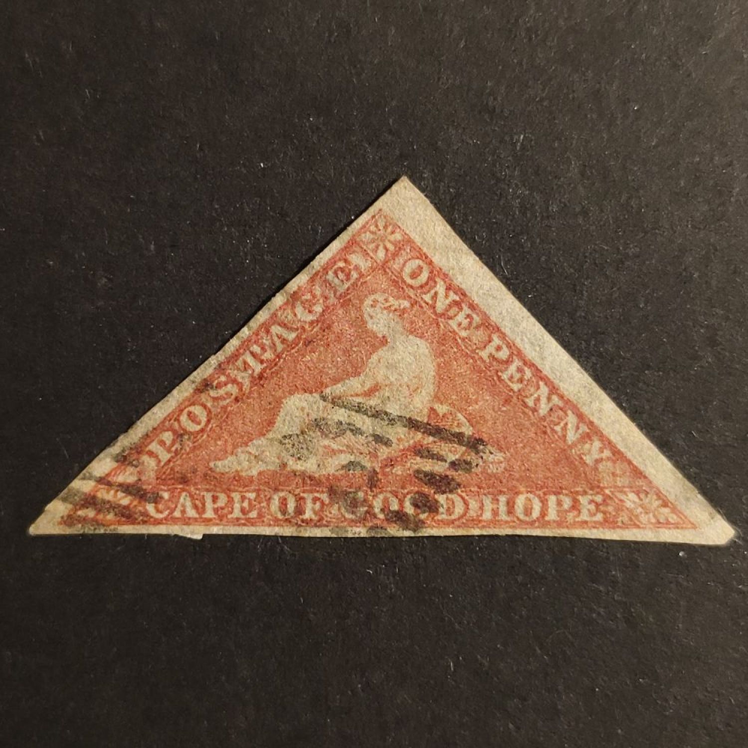 Kapský trojúhelník 1d rose, SG 5 (bílý papír 1855, razítkovaná – Znamky.cz